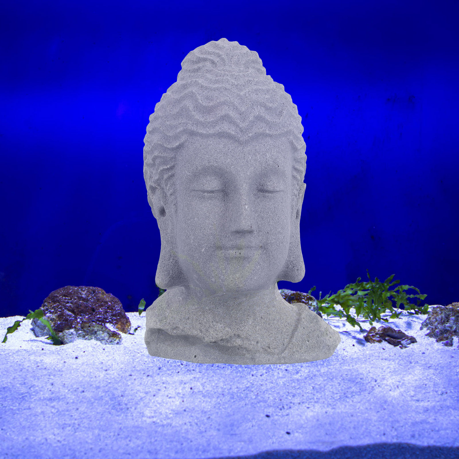 Aquarium Fish In - Buddha Head Statue Meditating Lifelike Fish