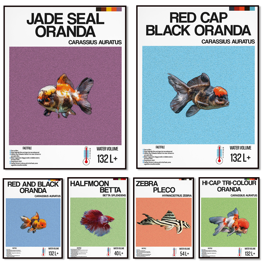 Aquarium Fish Zebra - Fish information print, ornamental fish, halfmoon