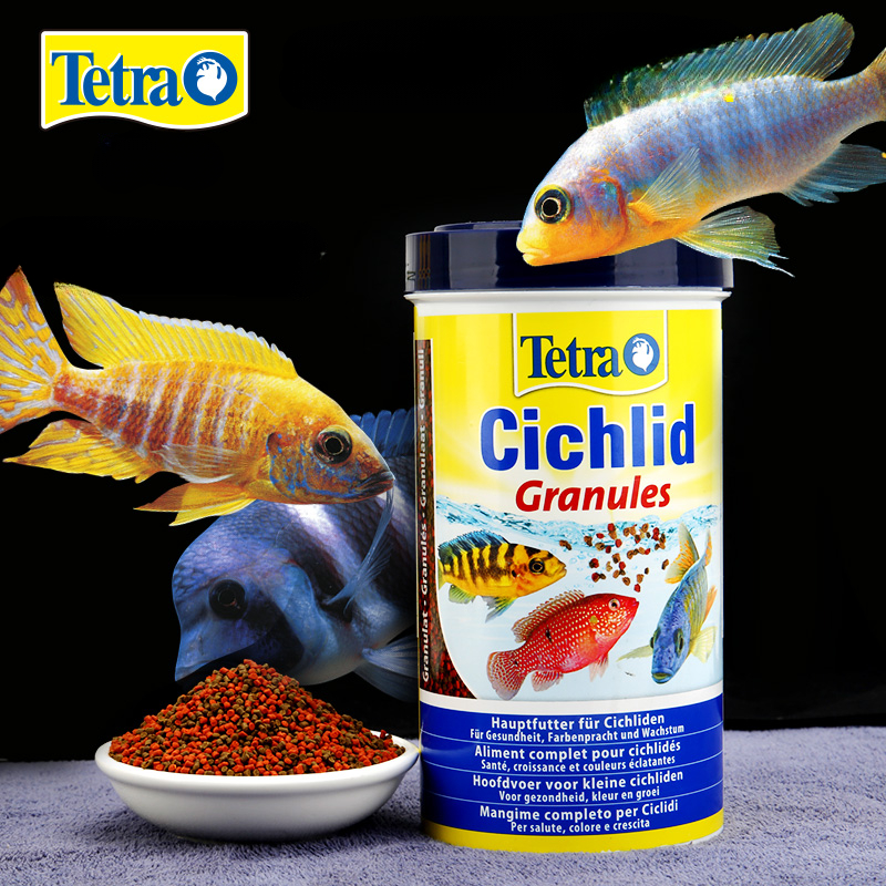 Tetra Fish In Aquarium - Tetra Cichlid Granules Clear Water Advanced