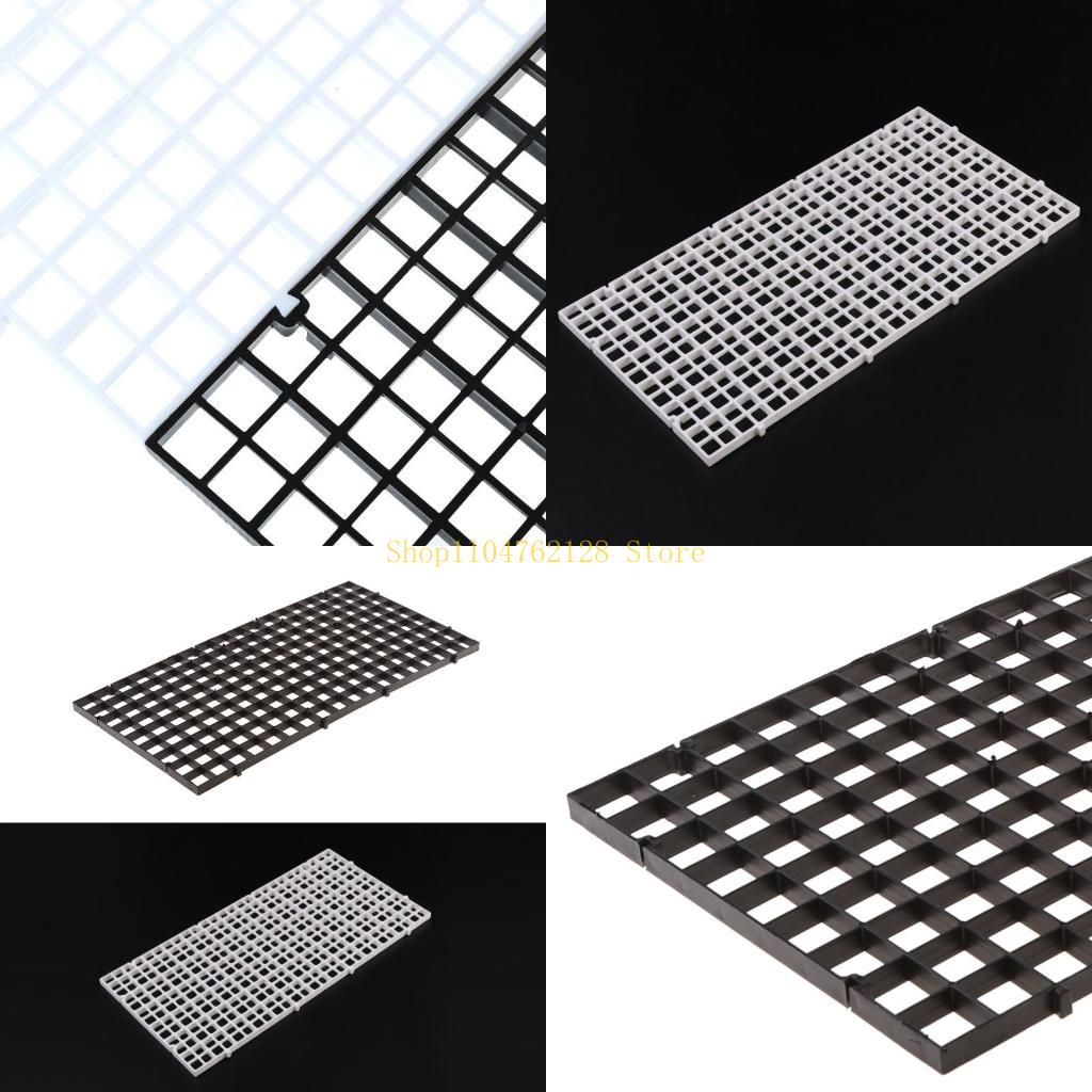 Aquarium Fish Sale - Aquarium Bottom Plate Fish for Tank