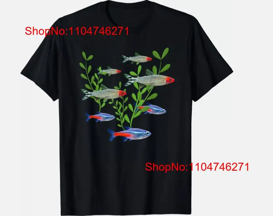 Tetra Fish In Aquarium - Tetras Aquarium Neon Rummy Nose Fish