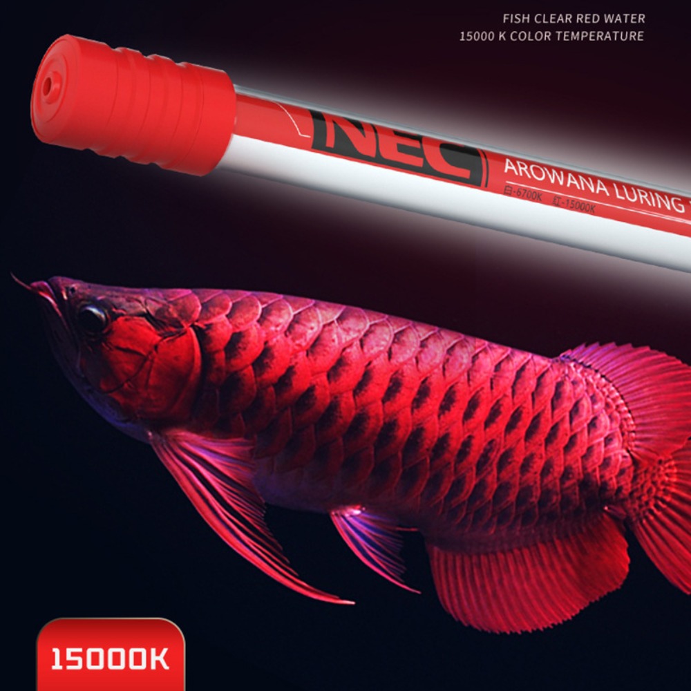 Aquarium Fish For Beginners - NEC-Arowana Lamp Color Brightening, 6700K and