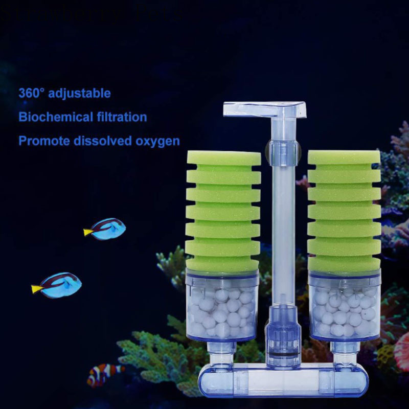 Aquarium Fish For Beginners - New Aquarium Filter for Aquarium Fish