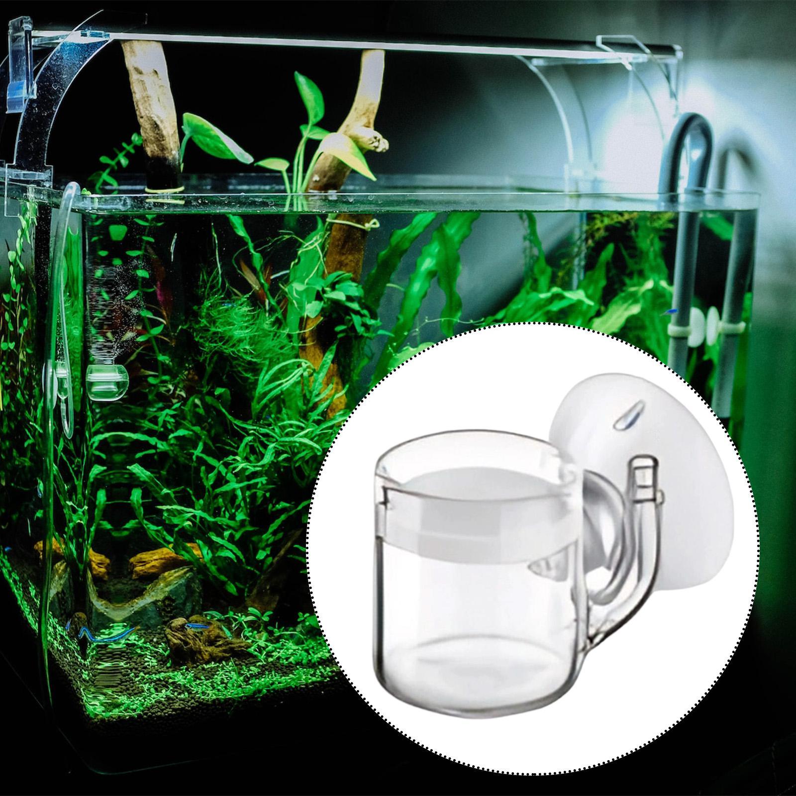 Aquarium Diffuser Glass CO2 Sy - Aquarium Fish Photography recensione e prezzo