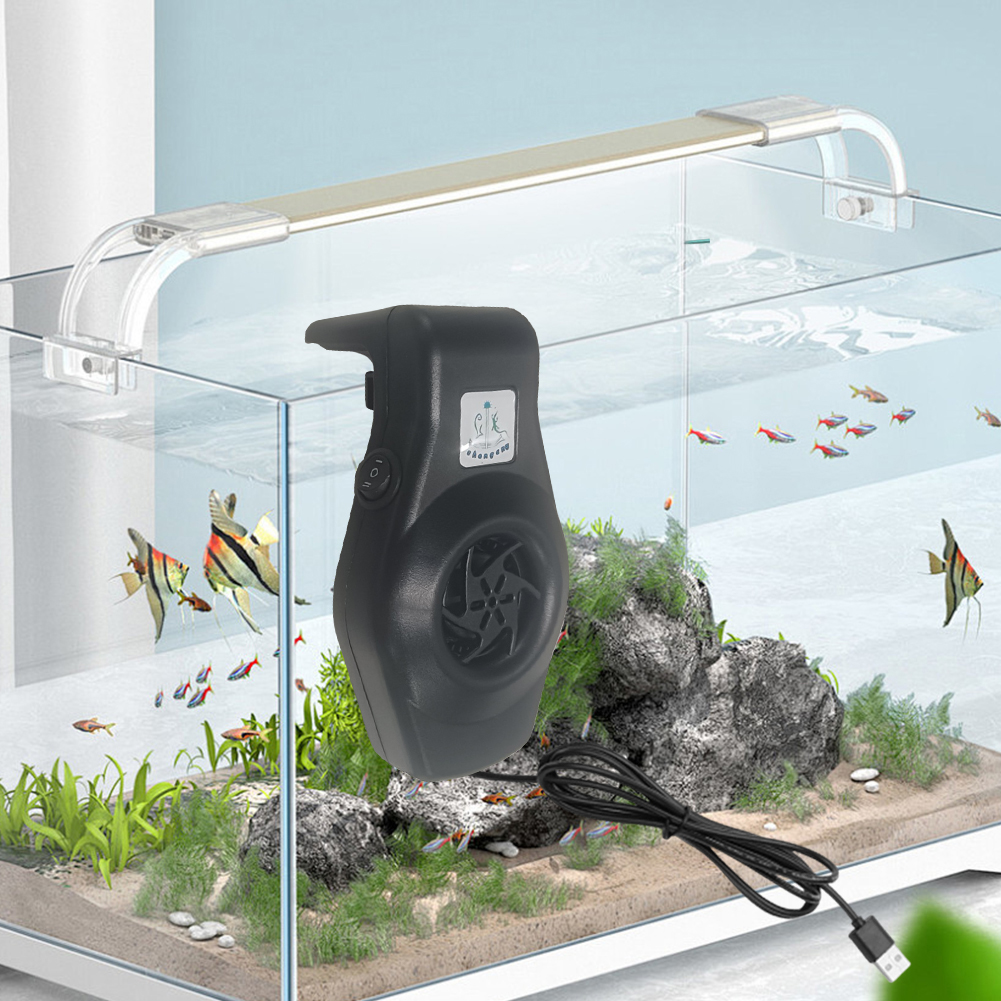 Small Fish Tank Fan with USB C - Aquarium Fish Freshwater recensione e prezzo