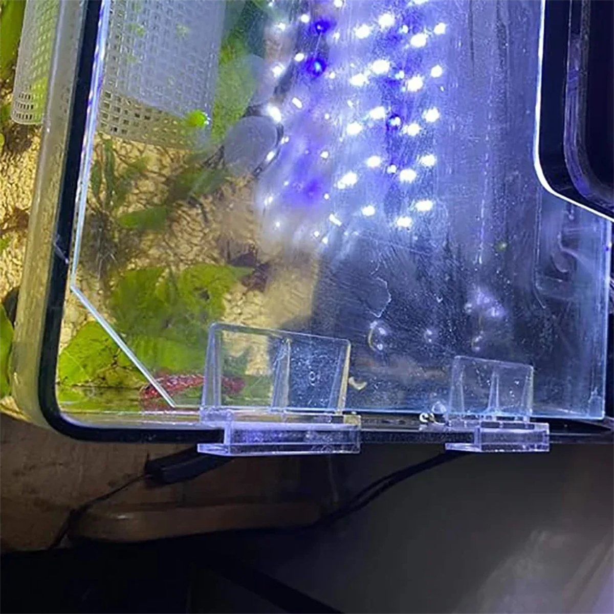 10Pcs Transparent Acrylic Fish - Aquarium Fish Photography recensione e prezzo