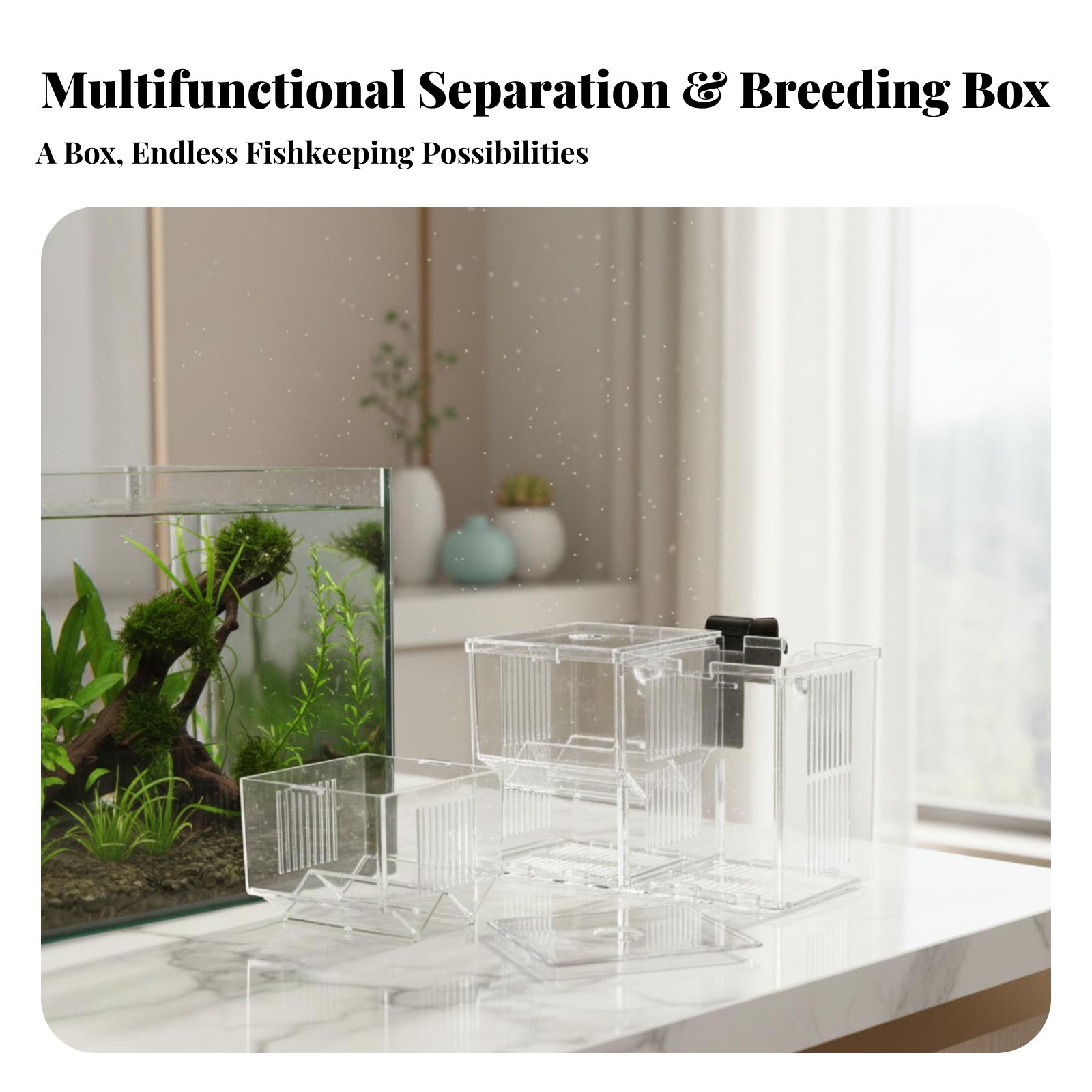 Aquatic Habitat Hatchery Box P - Aquarium Fish In recensione e prezzo