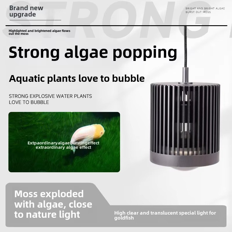 skynuo Super Colour 100W Fresh - Aquarium Fish Colour recensione e prezzo