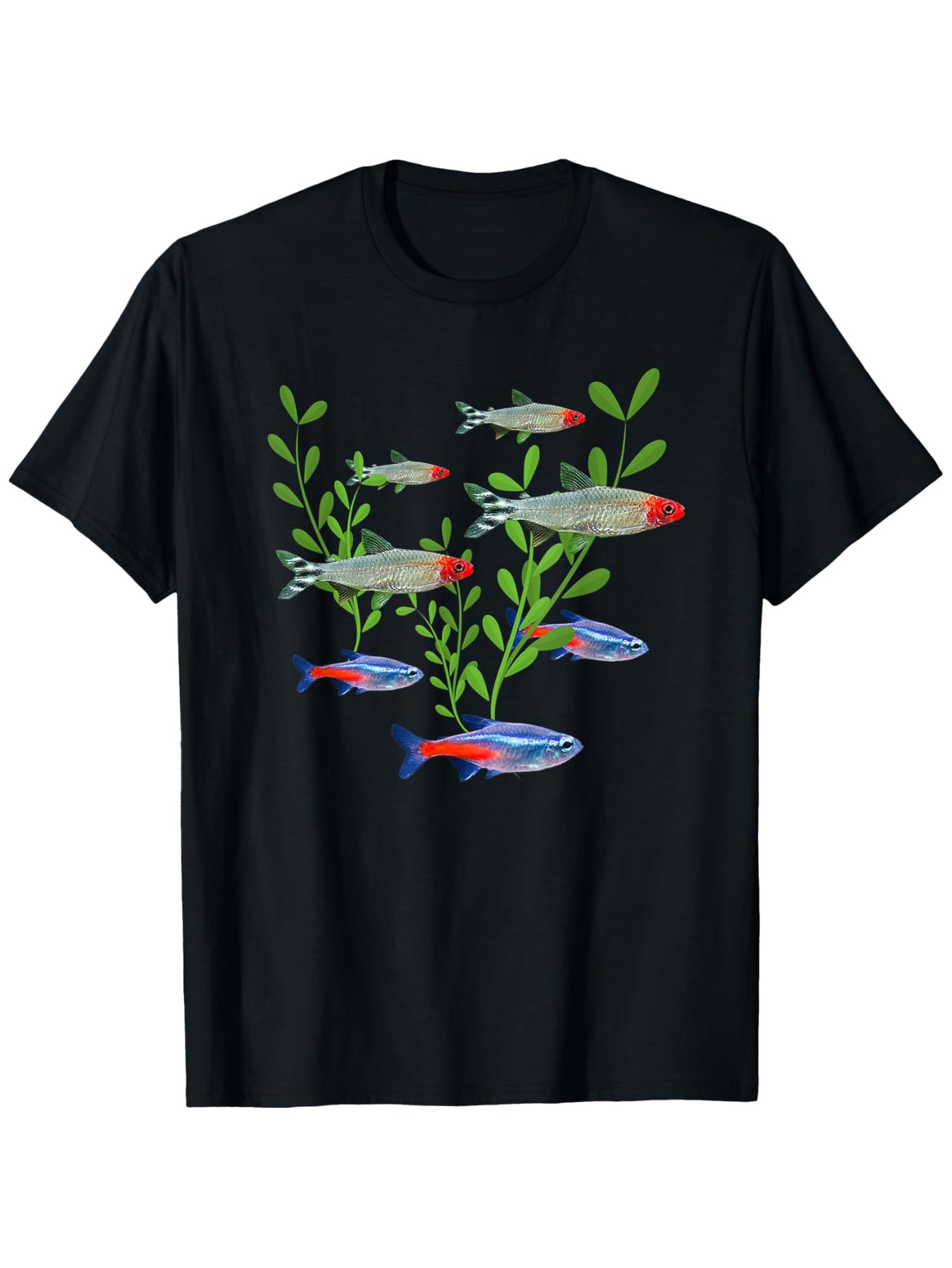 Men's Neon & Rummy Nose Tetras - Tetra Fish In Aquarium recensione e prezzo