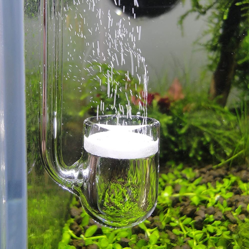 D0AD Glass CO2 Diffuser for Aq - Co2 Diffuser Planted recensione e prezzo