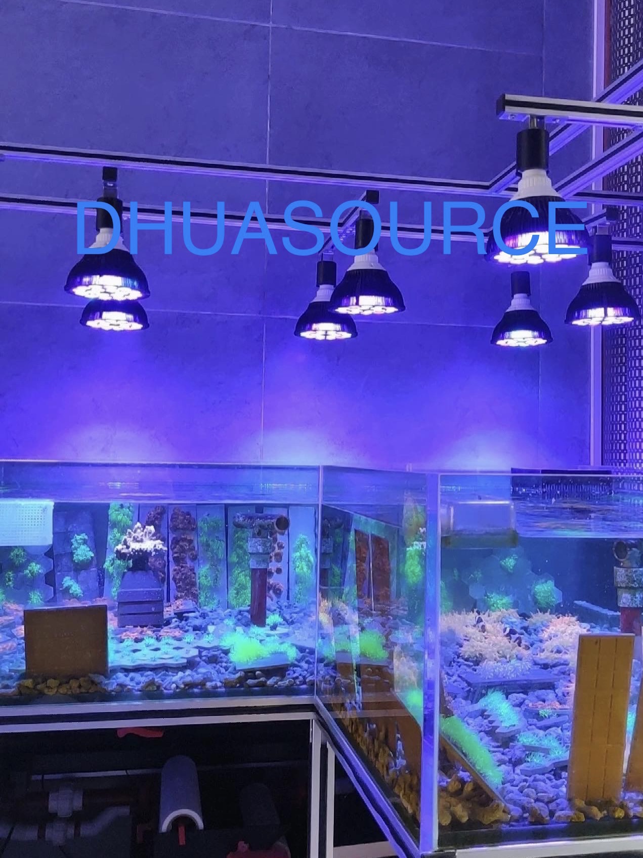 Full specturm LED Aquarium Ree - Aquarium Fish Light Lamp recensione e prezzo