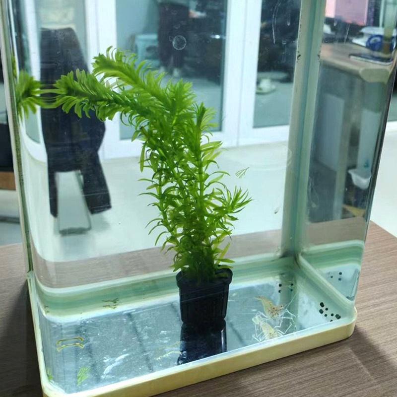 4Pcs Pet Fish Tank Landscaping - Aquarium Fish In recensione e prezzo