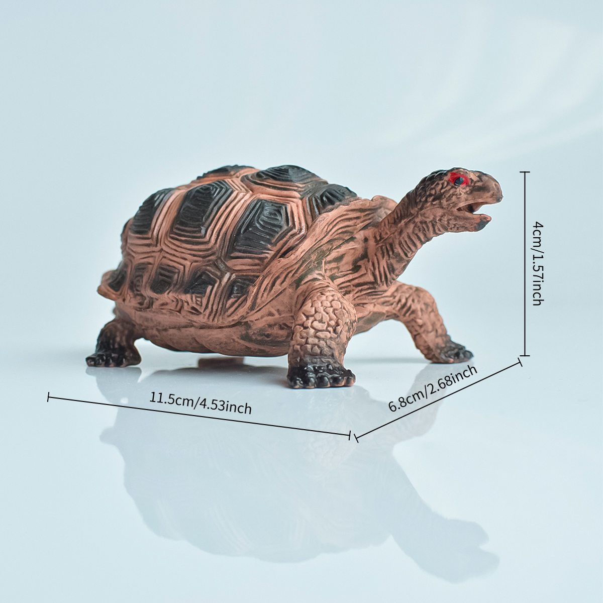 Painted Realistic Animal Turtl - Aquarium Fish To Buy recensione e prezzo