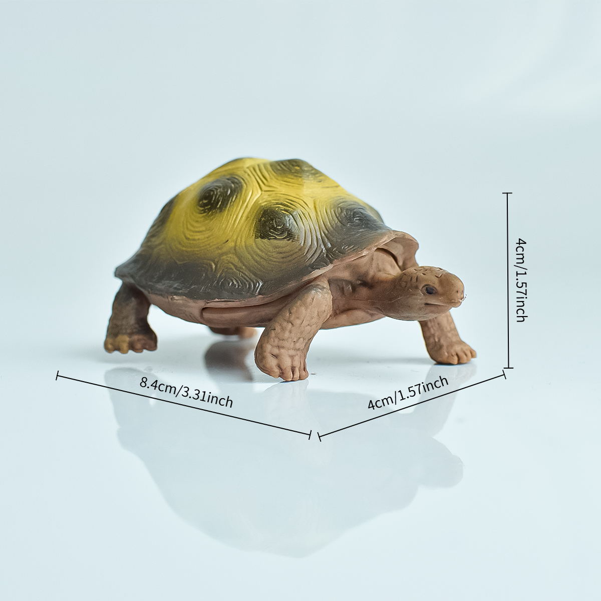 Painted Realistic Animal Turtl - Aquarium Fish To Buy recensione e prezzo
