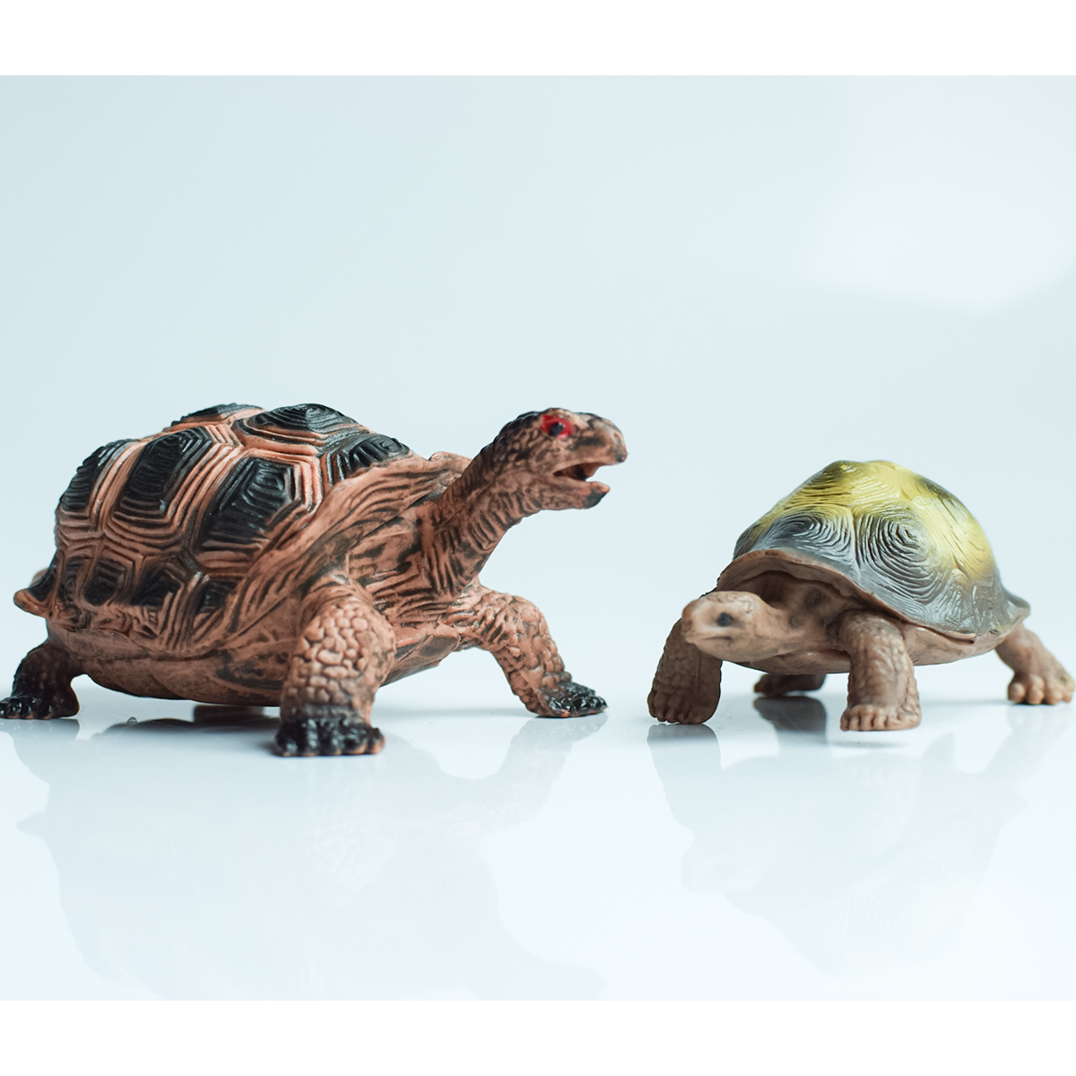 Painted Realistic Animal Turtl - Aquarium Fish To Buy recensione e prezzo