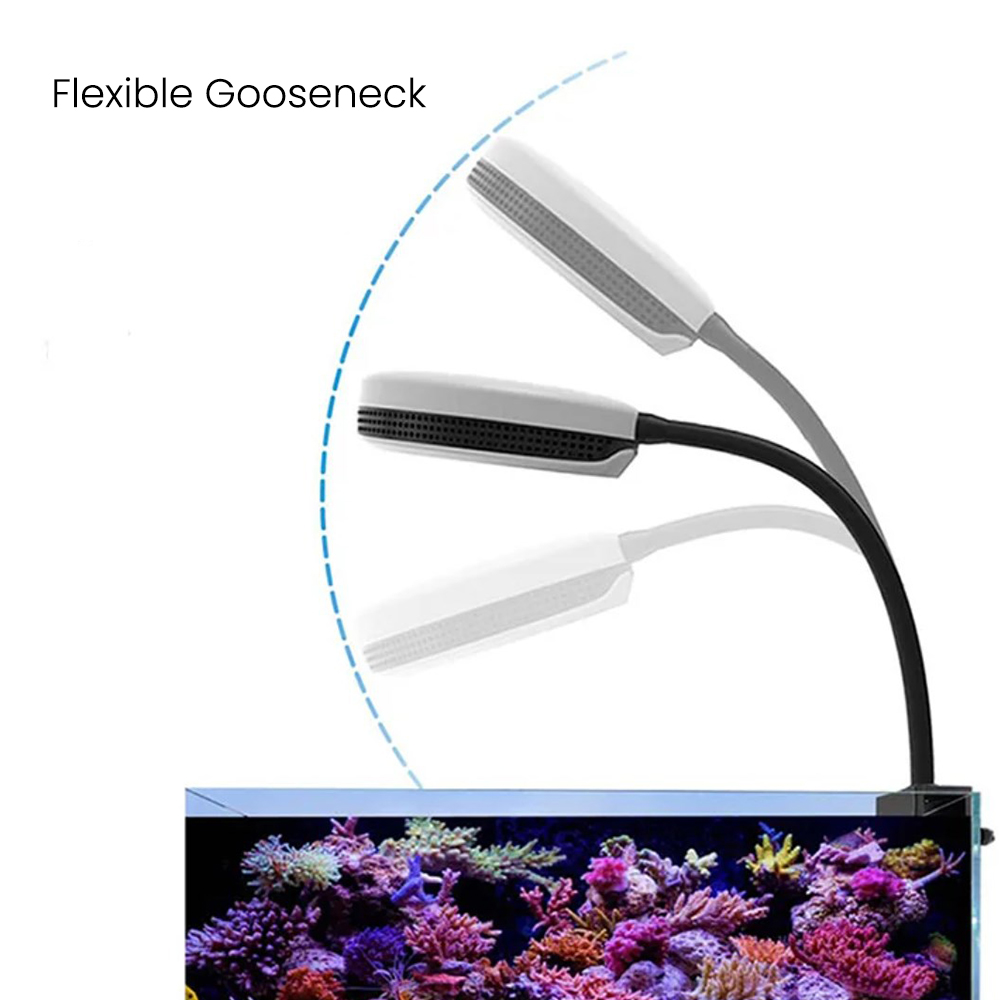 Spectra SP20 110-240V 20W Fres - Aquarium Fish Freshwater recensione e prezzo