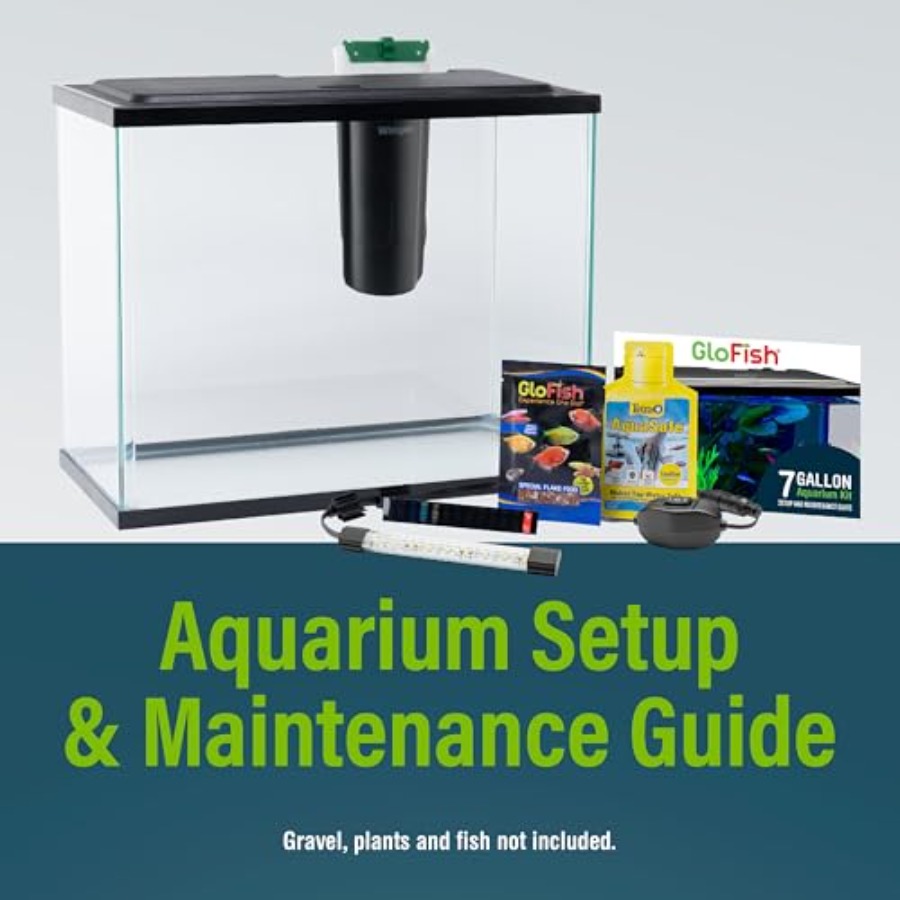 Aquarium Starter Kit 6.6 Gallo - Tetra Fish In Aquarium recensione e prezzo