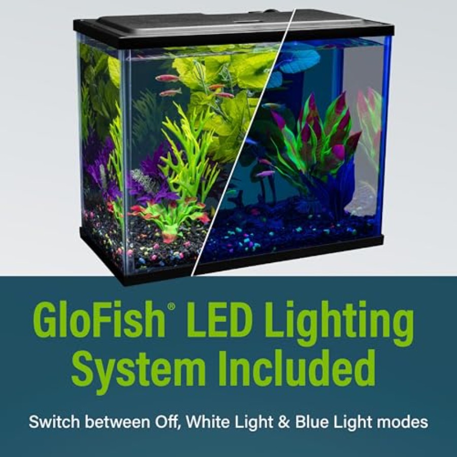 Aquarium Starter Kit 6.6 Gallo - Tetra Fish In Aquarium recensione e prezzo