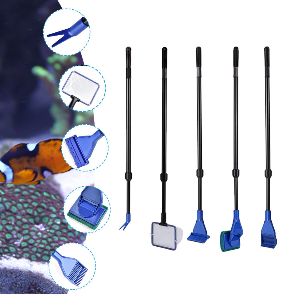 2019 New Arrival 5 in 1 Aquari - Aquarium Fish Quality recensione e prezzo