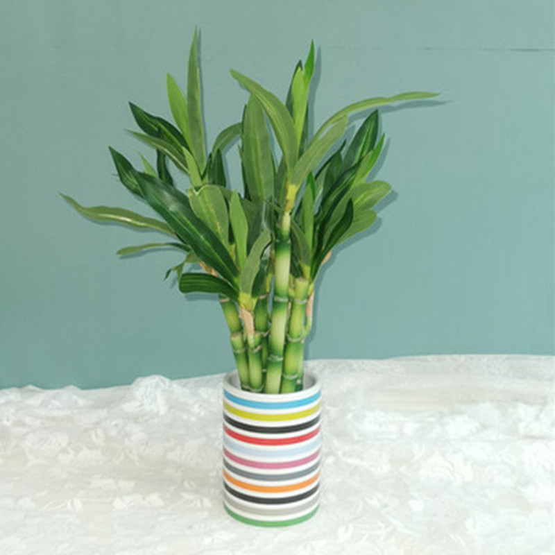 New 40cm rFtificial Lucky Bamb - Aquarium Fish To Buy recensione e prezzo