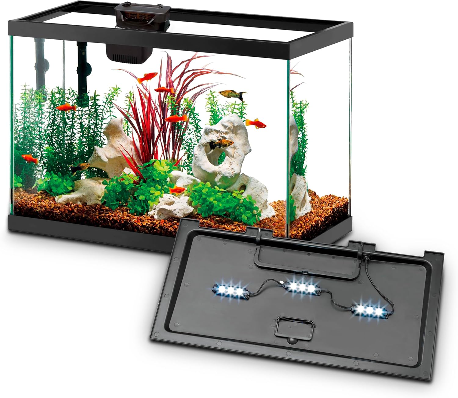 Aquarium Starter Kit with Smar - Tetra Fish In Aquarium recensione e prezzo