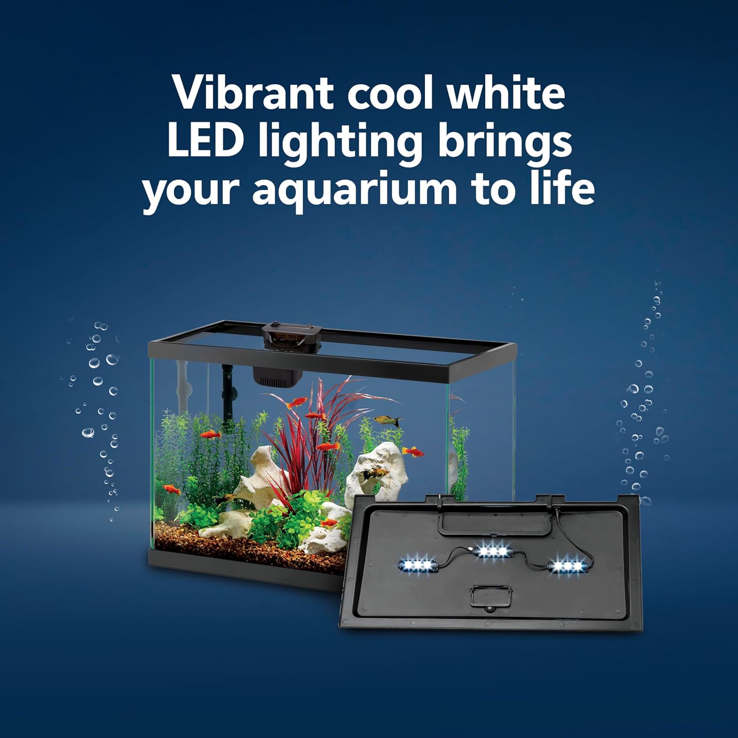 Aquarium Starter Kit with Smar - Tetra Fish In Aquarium recensione e prezzo