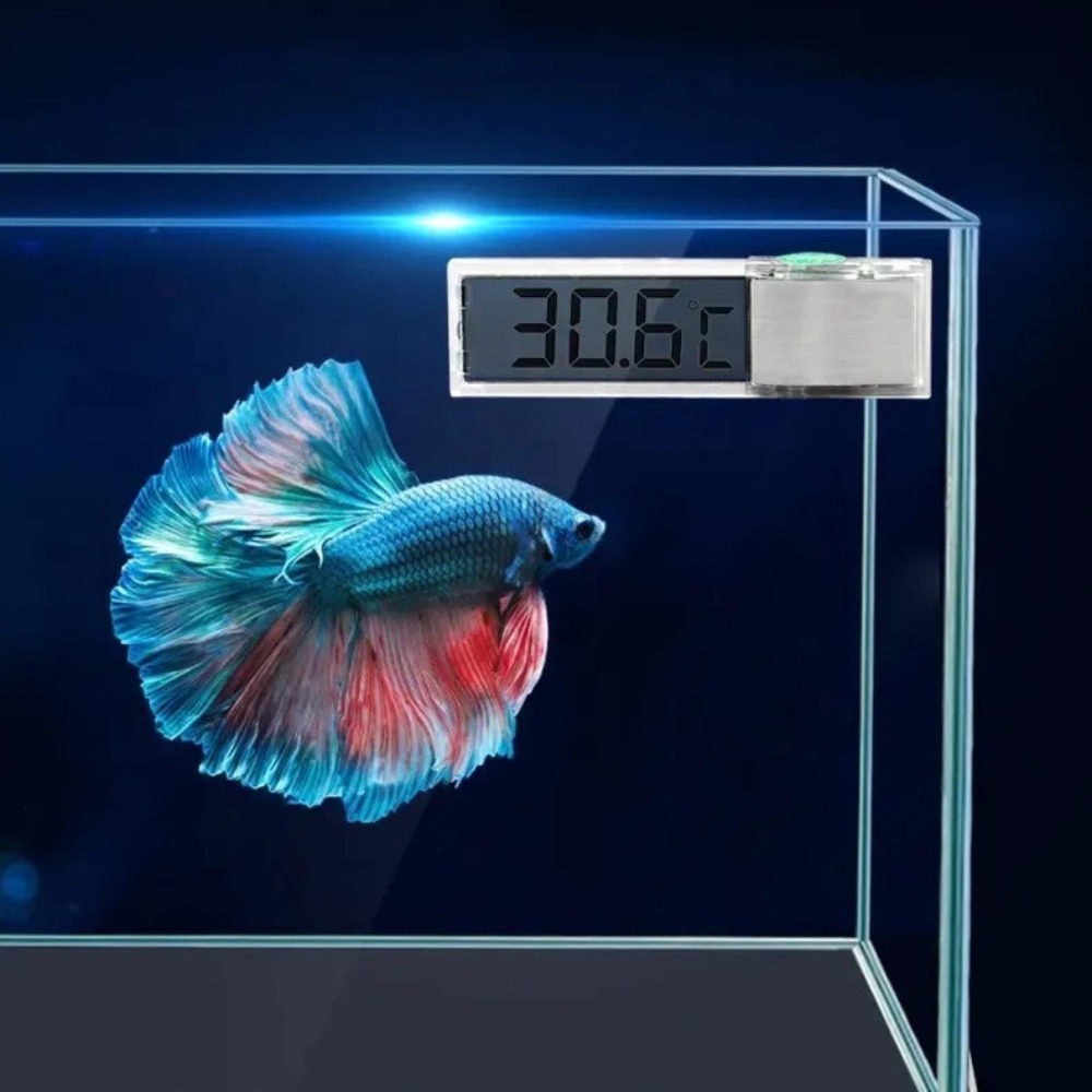 1PC Aquarium Thermometer Elect - Aquarium Thermometer recensione e prezzo