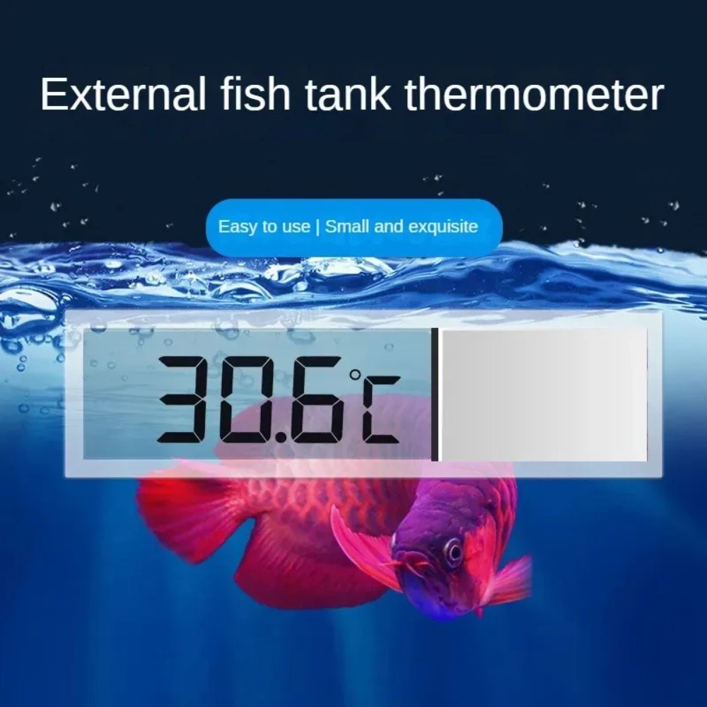 1PC Aquarium Thermometer Elect - Aquarium Thermometer recensione e prezzo