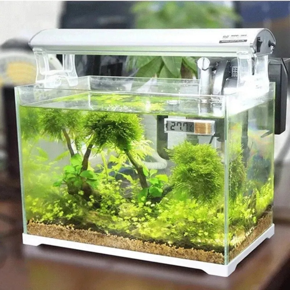 1PC Aquarium Thermometer Elect - Aquarium Thermometer recensione e prezzo