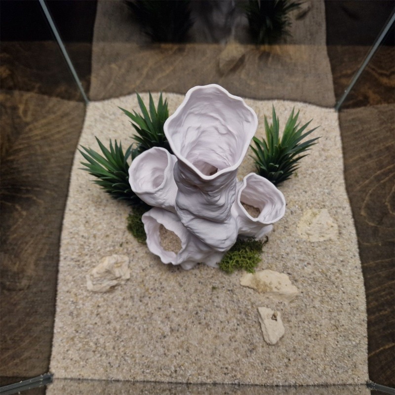 Hot Sale 3D Printed Coral Tunn - Aquarium Fish Sale recensione e prezzo
