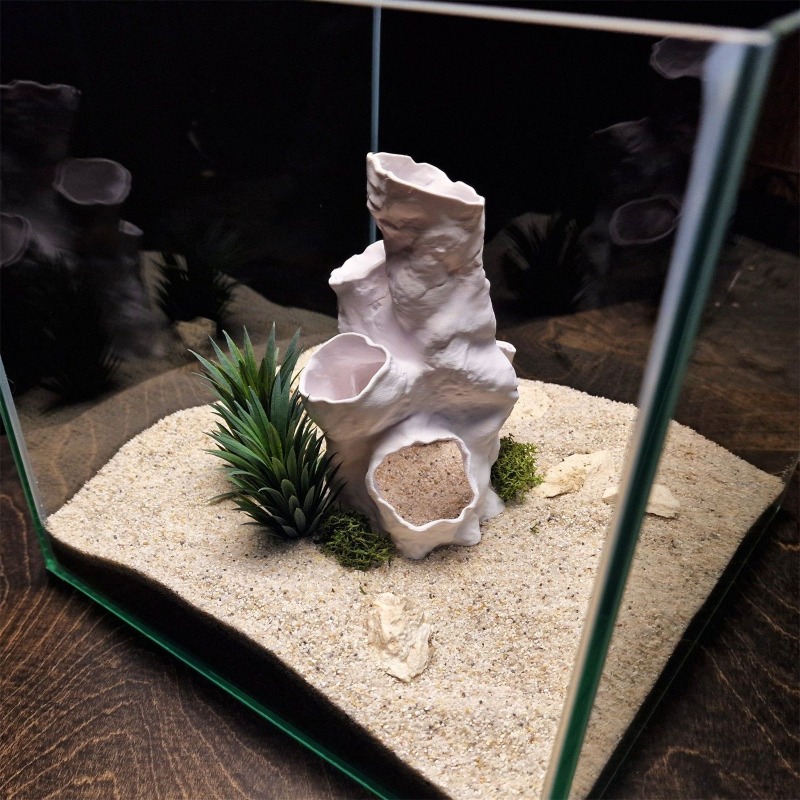 Hot Sale 3D Printed Coral Tunn - Aquarium Fish Sale recensione e prezzo