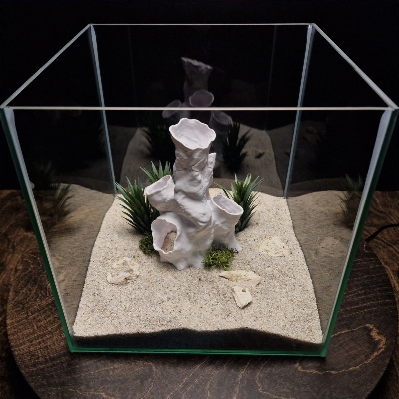 Hot Sale 3D Printed Coral Tunn - Aquarium Fish Sale recensione e prezzo