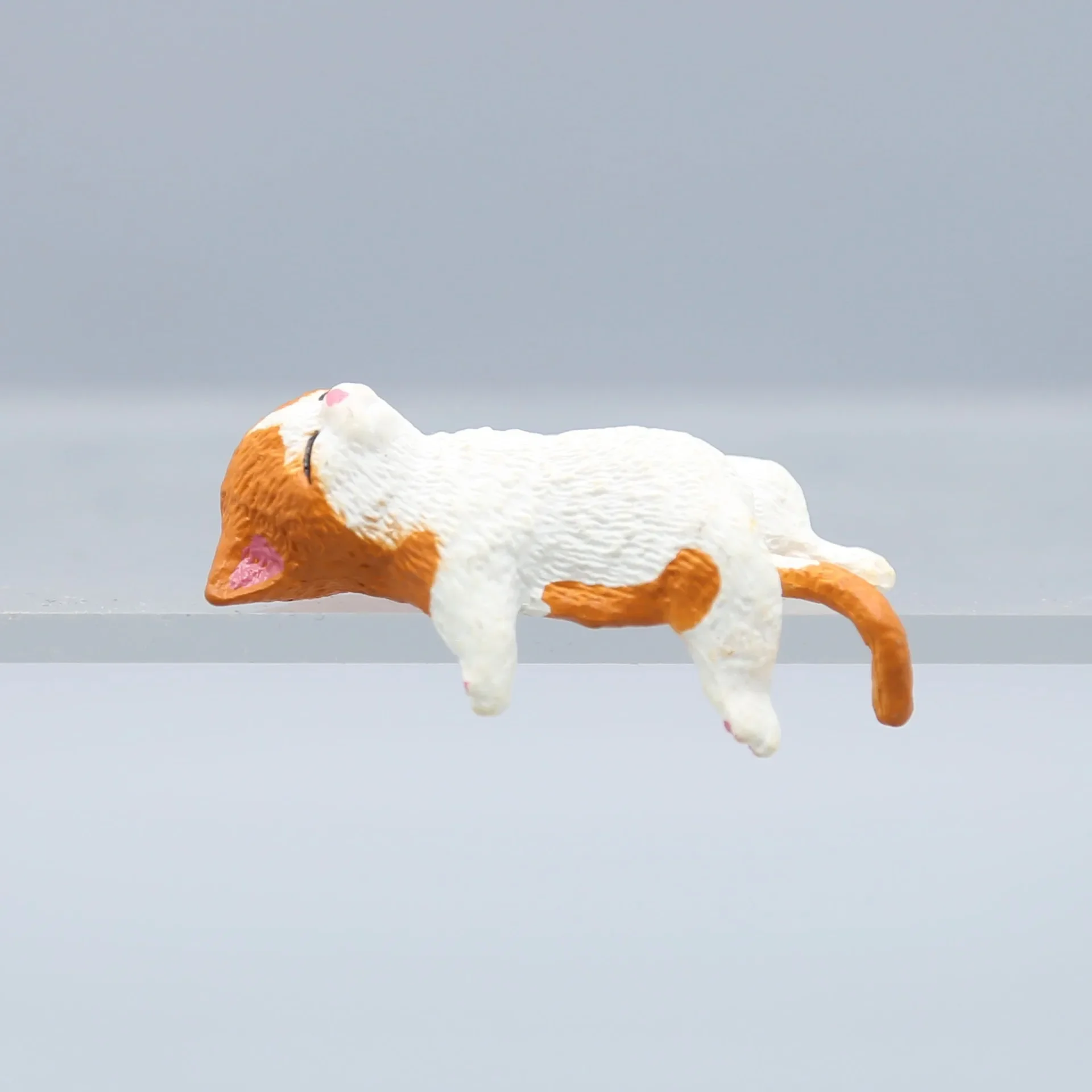 Cute Cartoon Cat Decor PVC Hom - Aquarium Fish For Beginners recensione e prezzo