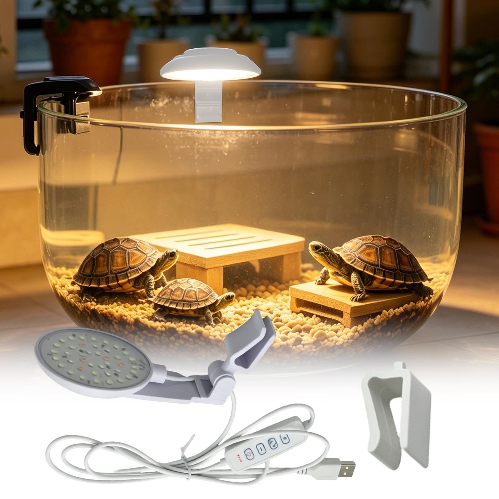 Aquarium Light Waterproof Clam - Aquarium Fish For Beginners recensione e prezzo