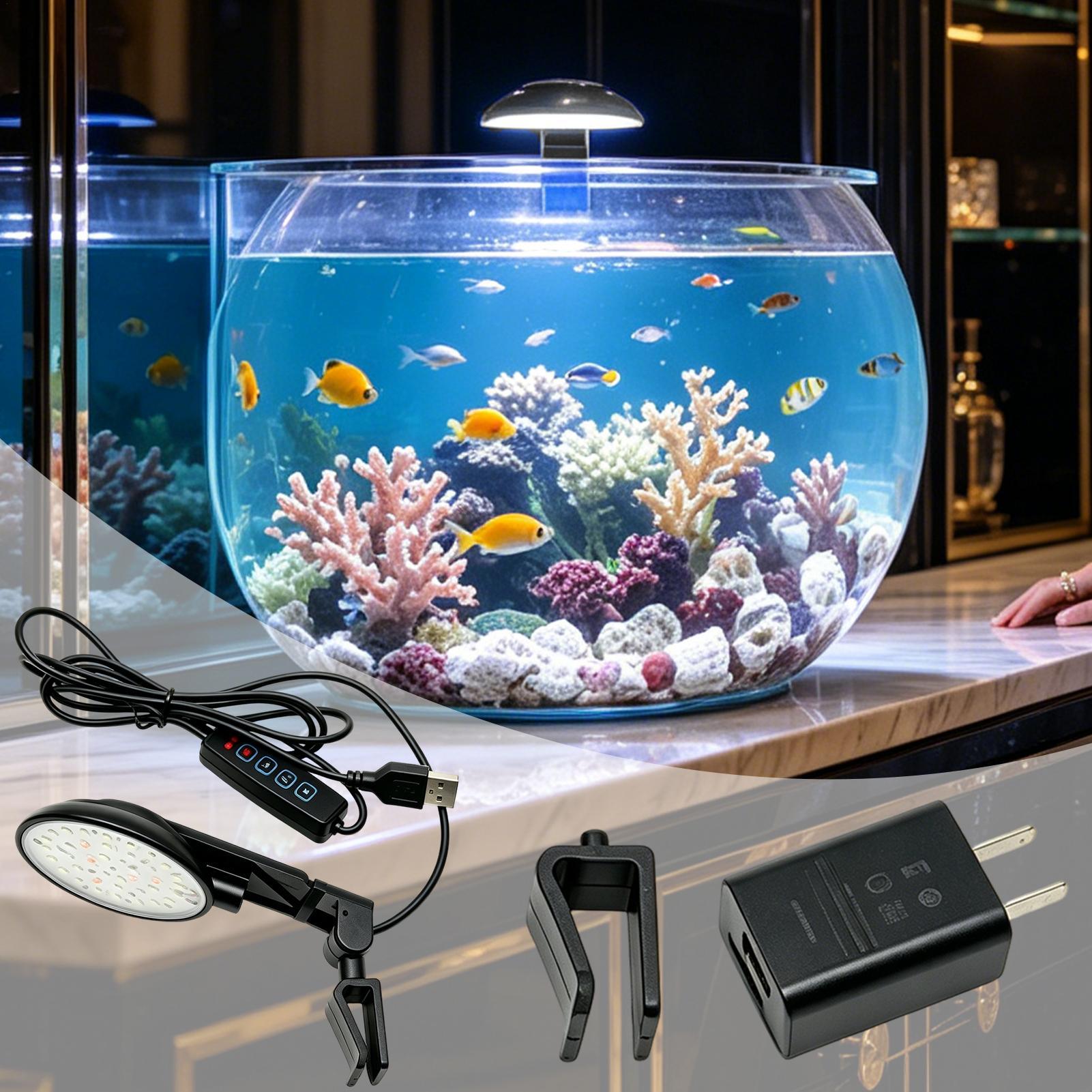 Aquarium Light Waterproof Clam - Aquarium Fish For Beginners recensione e prezzo