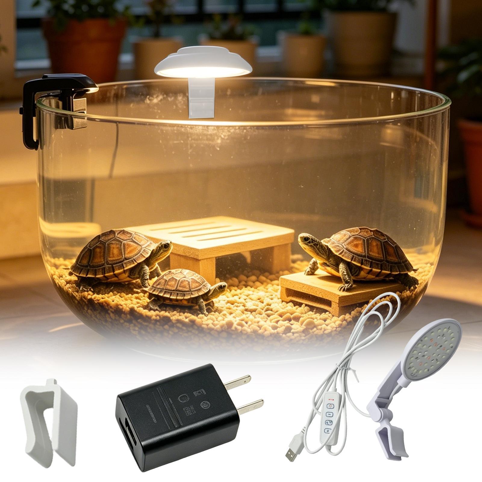 Aquarium Light Waterproof Clam - Aquarium Fish For Beginners recensione e prezzo