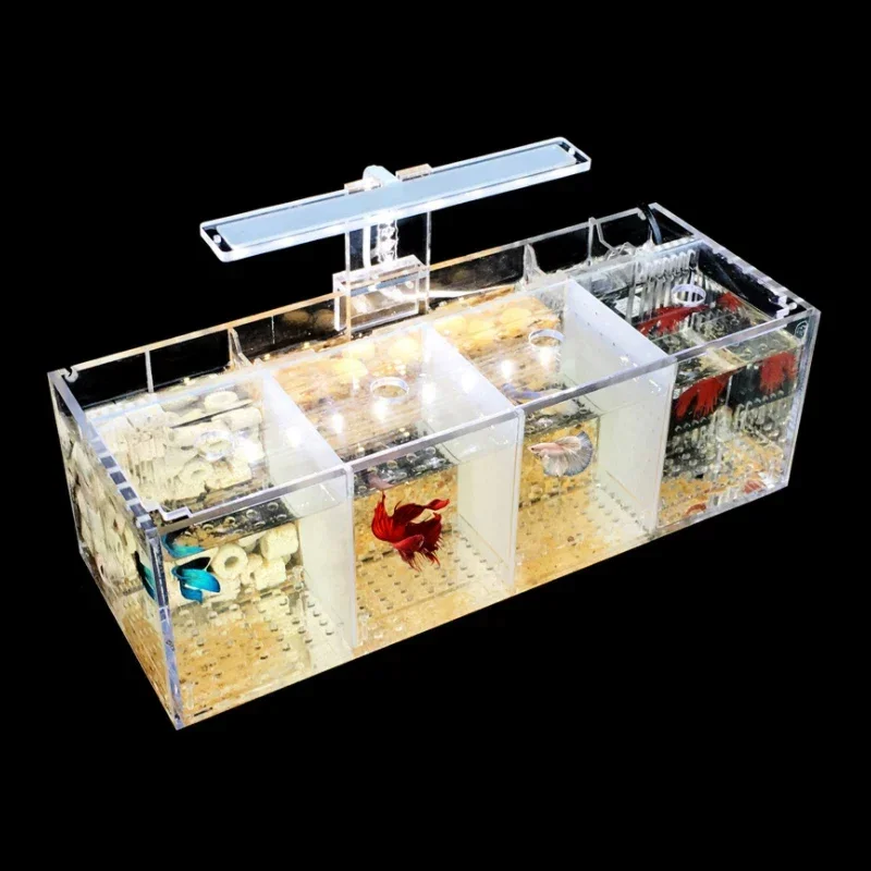 Hot salesSuitable for Amazon h - Aquarium Fish In Amazon recensione e prezzo