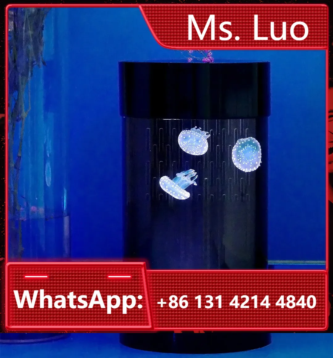 Best Amazon Sales Jellyfish Ta - Aquarium Fish In Amazon recensione e prezzo
