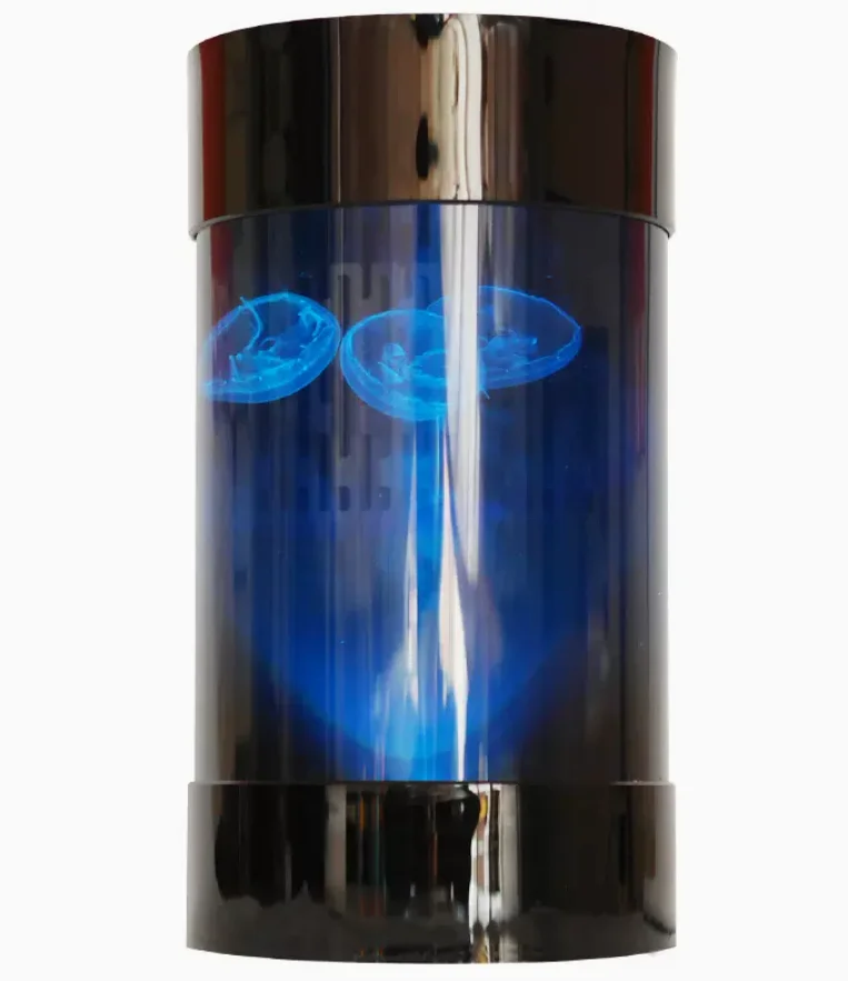 Best Amazon Sales Jellyfish Ta - Aquarium Fish In Amazon recensione e prezzo