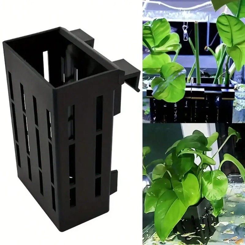 Aquarium Plant Holder Black Pl - Aquarium Fish Photography recensione e prezzo