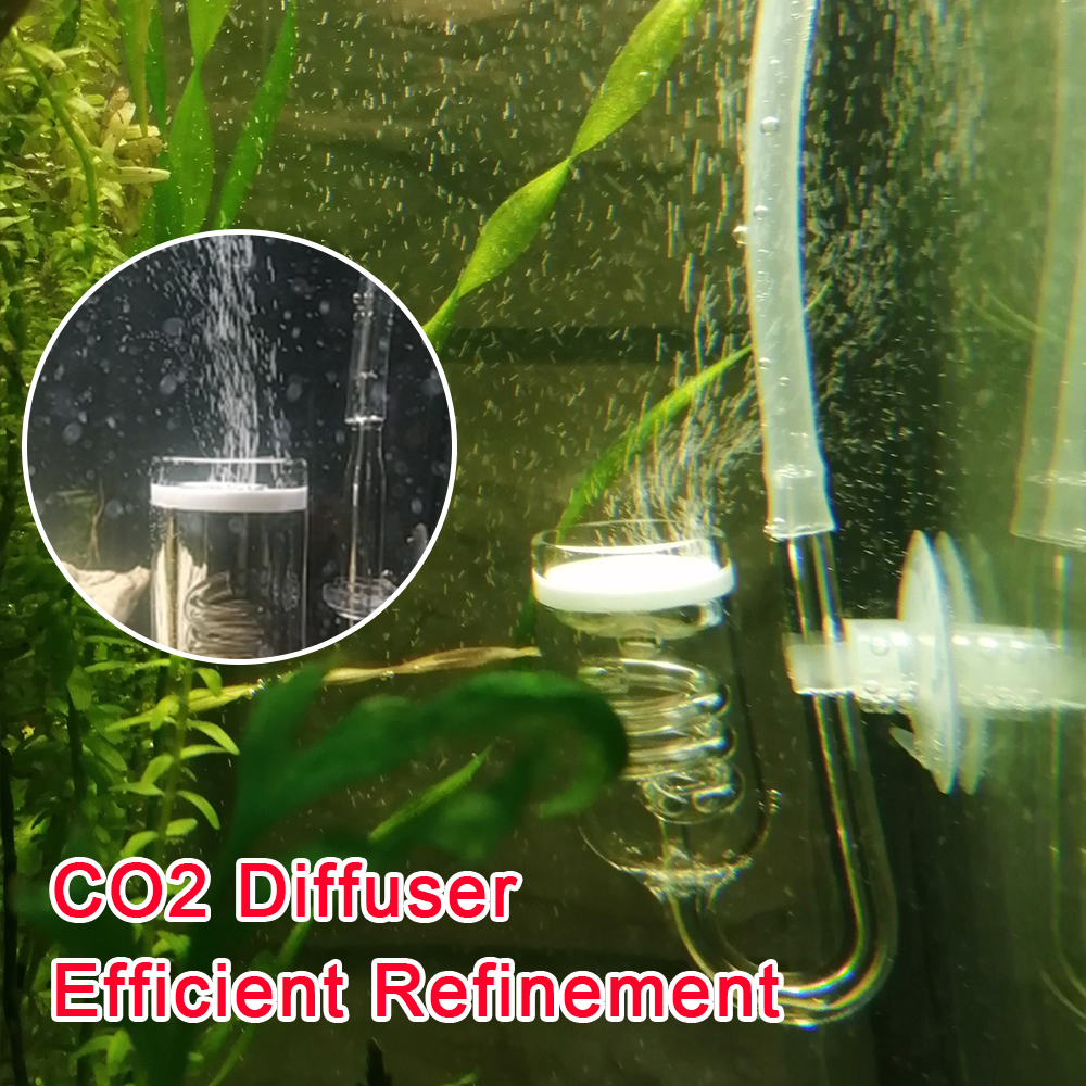 Glass Tank Bubble Reactor Aqua - Co2 Diffuser Planted recensione e prezzo