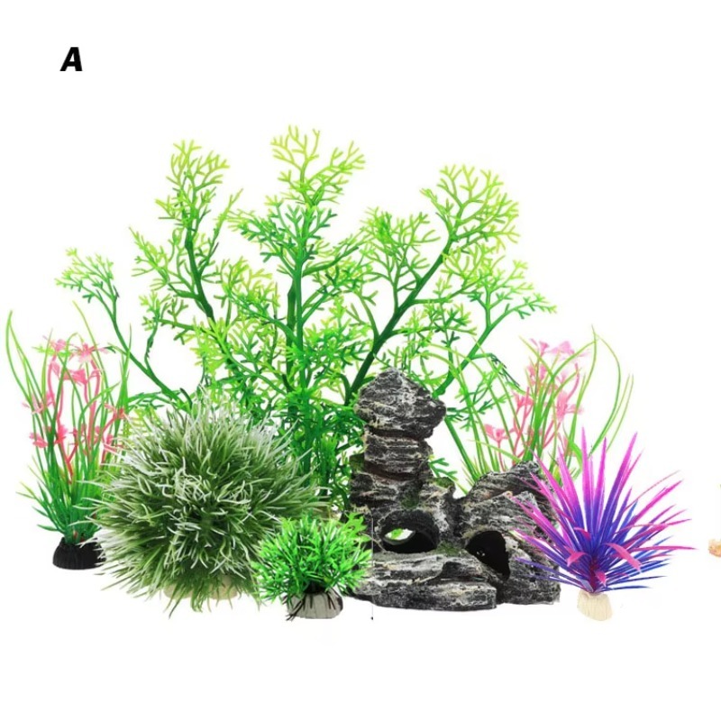 10pcs Hot Selling New Arrival  - Aquarium Fish Sale recensione e prezzo