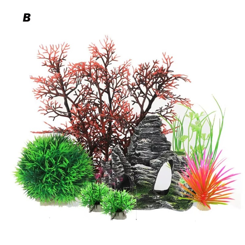 10pcs Hot Selling New Arrival  - Aquarium Fish Sale recensione e prezzo