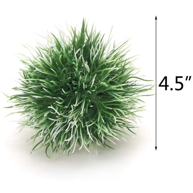 10pcs Hot Selling New Arrival  - Aquarium Fish Sale recensione e prezzo