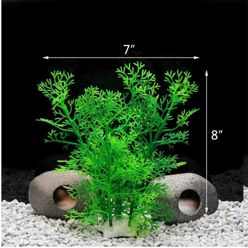 10pcs Hot Selling New Arrival  - Aquarium Fish Sale recensione e prezzo