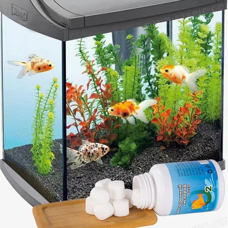 Aquarium Longterm Oxygen Table - Aquarium Fish Long recensione e prezzo