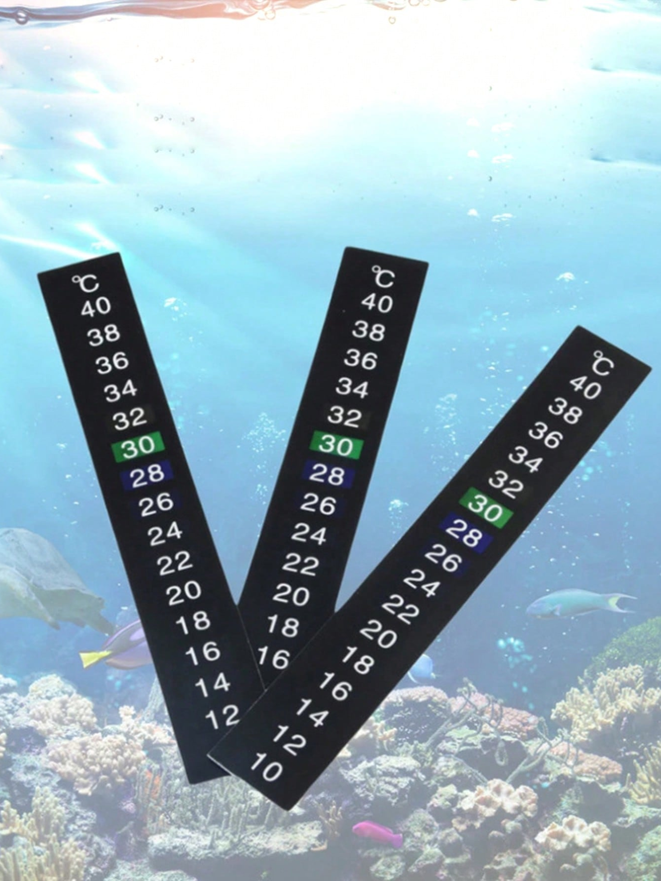 1pc-Accurate and easy to read  - Aquarium Thermometer recensione e prezzo