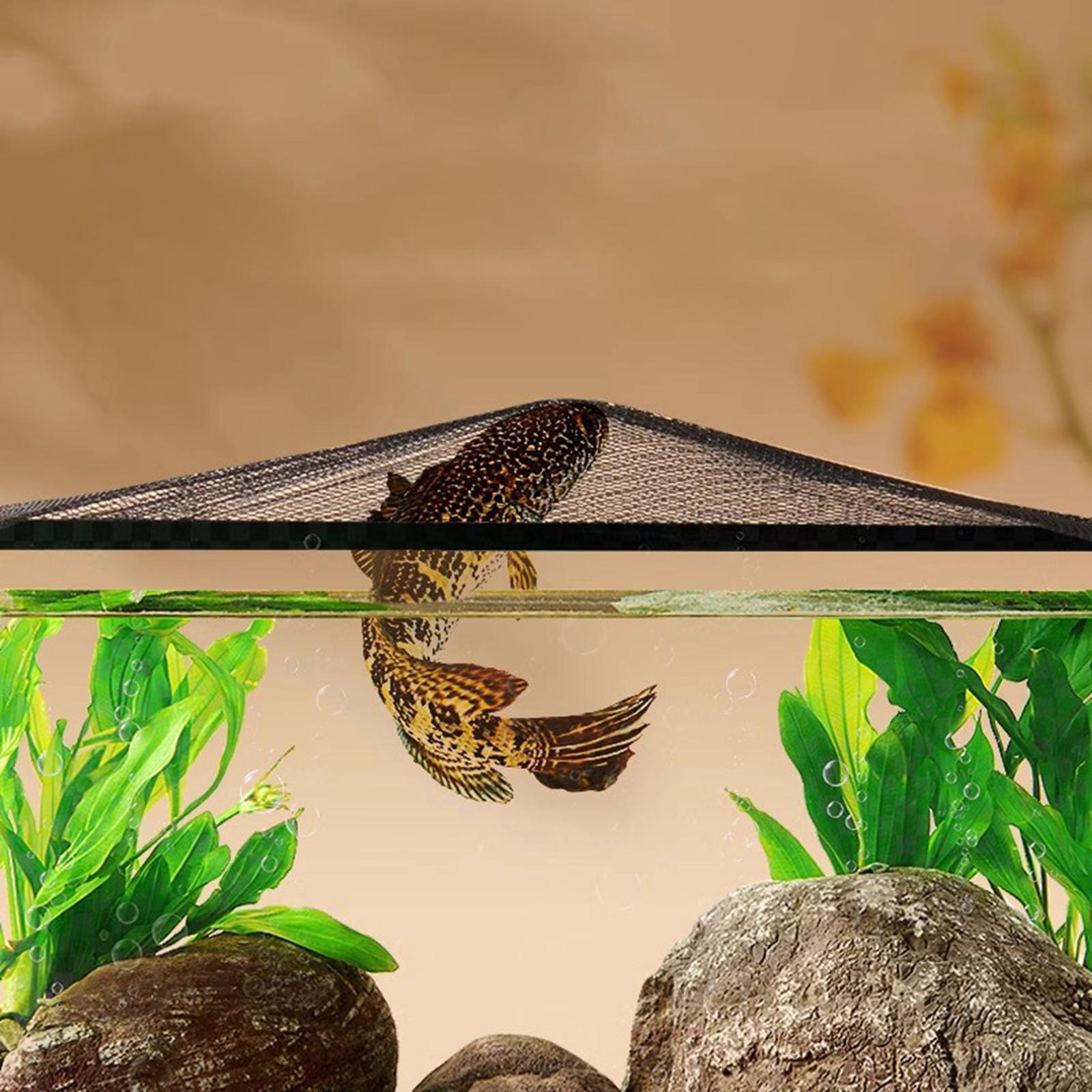 Aquarium Screen Top Cover Magn - Aquarium Fish Jump Guard recensione e prezzo
