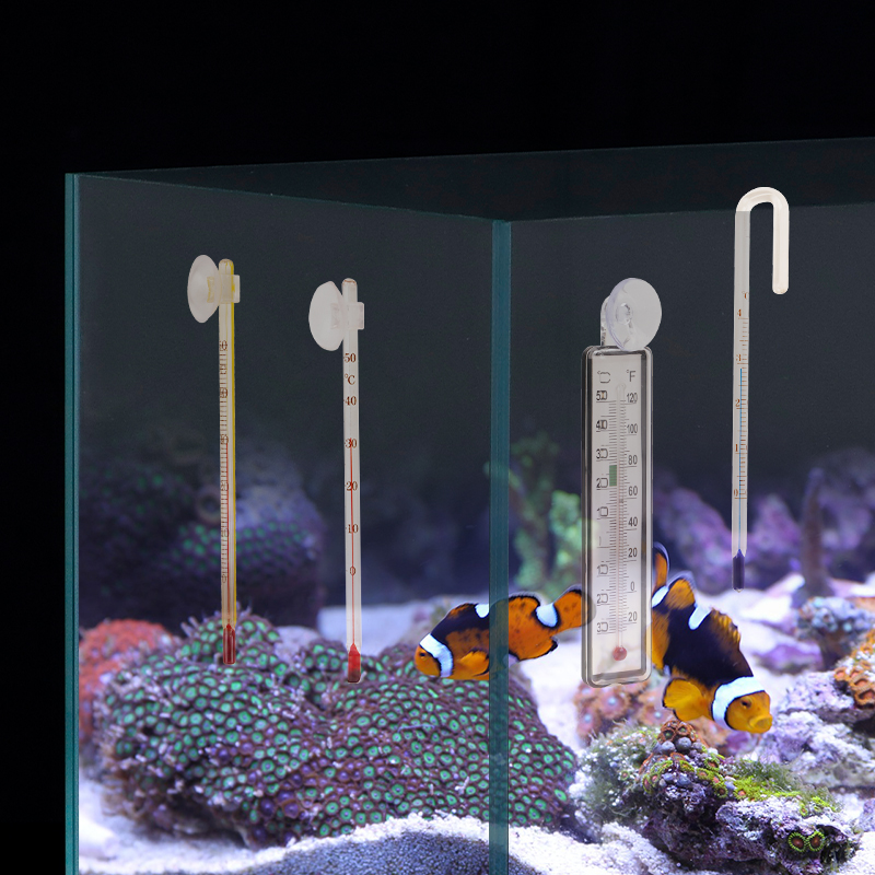 Aquarium Digital Thermometer w - Aquarium Thermometer recensione e prezzo
