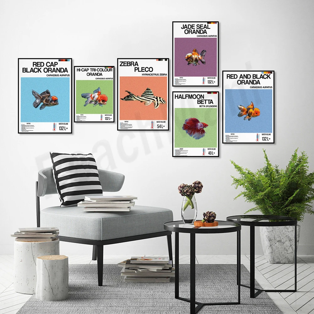 Fish information print, orname - Aquarium Fish Zebra recensione e prezzo